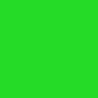 Neon Green Neon Green